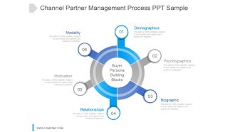 Channel Partner Management Process Ppt Sample