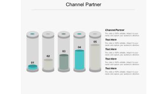 Channel Partner Ppt PowerPoint Presentation File Graphics Cpb