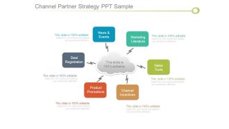 Channel Partner Strategy Ppt Sample
