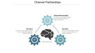 Channel Partnerships Ppt PowerPoint Presentation File Portrait