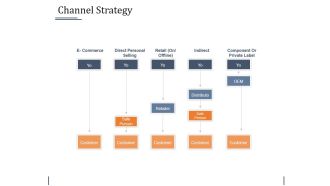 Channel Strategy Ppt PowerPoint Presentation Slides Visuals