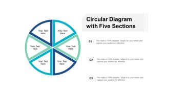 Circular Diagram With Five Sections Ppt PowerPoint Presentation Visual Aids Summary