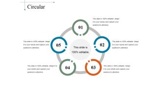 Circular Ppt PowerPoint Presentation File Visuals