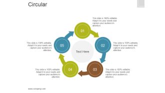 Circular Ppt PowerPoint Presentation Icon