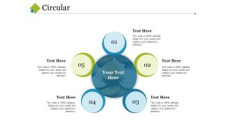 Circular Ppt PowerPoint Presentation Infographic Template Information