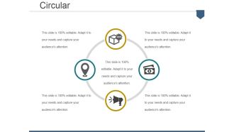 Circular Ppt PowerPoint Presentation Pictures Graphics Example