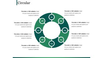 Circular Ppt PowerPoint Presentation Summary Infographics