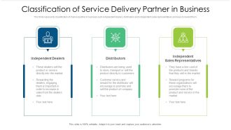 Classification Of Service Delivery Partner In Business Ppt PowerPoint Presentation Gallery Layout PDF