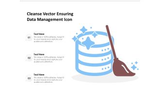 Cleanse Vector Ensuring Data Management Icon Ppt PowerPoint Presentation File Format Ideas PDF