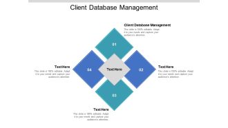 Client Database Management Ppt PowerPoint Presentation Infographics Examples