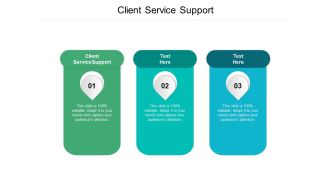 Client Service Support Ppt PowerPoint Presentation Slides Graphics Example Cpb Pdf