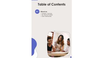 Client Service Support Proposal Table Of Contents One Pager Sample Example Document
