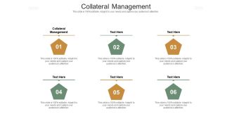 Collateral Management Ppt PowerPoint Presentation Infographic Template Professional Cpb Pdf