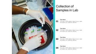 Collection Of Samples In Lab Ppt PowerPoint Presentation Slides Guide PDF