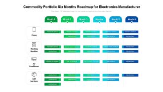 Commodity Portfolio Six Months Roadmap For Electronics Manufacturer Professional