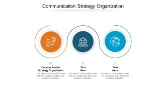 Communication Strategy Organization Ppt PowerPoint Presentation Infographic Template Vector Cpb