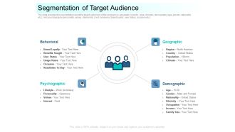 Community Capitalization Pitch Deck Segmentation Of Target Audience Slides Pdf