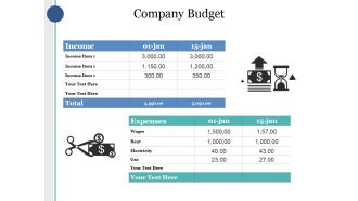 Company Budget Ppt PowerPoint Presentation Outline Structure