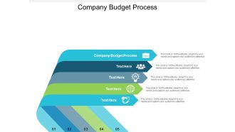 Company Budget Process Ppt PowerPoint Presentation Styles Tips Cpb