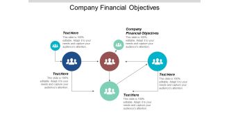 Company Financial Objectives Ppt PowerPoint Presentation Gallery Model Cpb