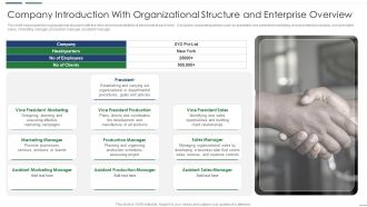Company Introduction With Organizational Structure And Enterprise Overview Graphics PDF