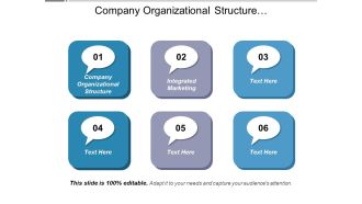 Company Organizational Structure Integrated Marketing Ppt PowerPoint Presentation Infographic Template Graphic Tips