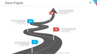 Company Outline Future Projects Ppt Show Format Ideas PDF