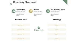 Company Overview Ppt PowerPoint Presentation Visual Aids Model