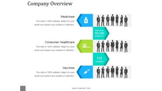 Company Overview Template 2 Ppt PowerPoint Presentation Example 2015