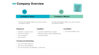 Company Overview Vision Ppt PowerPoint Presentation Portfolio Gridlines