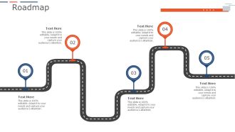 Company Project Planning Roadmap Guidelines PDF