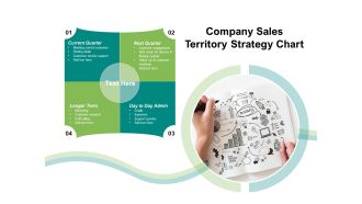 Company Sales Territory Strategy Chart Ppt PowerPoint Presentation Icon Gallery PDF