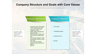 Company Structure And Goals With Core Values Ppt PowerPoint Presentation File Guidelines PDF