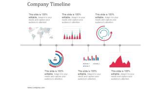 Company Timeline Ppt Powerpoint Presentation Icon Information