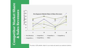 Competitor Market Share And Sales Revenues Ppt PowerPoint Presentation Styles Guide