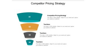 Competitor Pricing Strategy Ppt PowerPoint Presentation Visual Aids Styles Cpb
