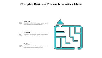 Complex Business Process Icon With A Maze Ppt PowerPoint Presentation File Example PDF