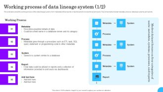 Comprehensive Analysis Of Different Data Lineage Classification Working Process Data Lineage System Demonstration PDF