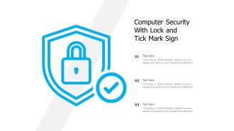 Computer Security With Lock And Tick Mark Sign Ppt PowerPoint Presentation File Portrait PDF