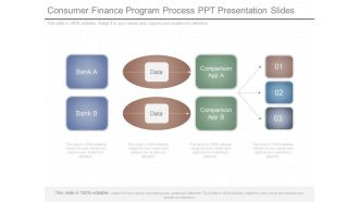 Consumer Finance Program Process Ppt Presentation Slides