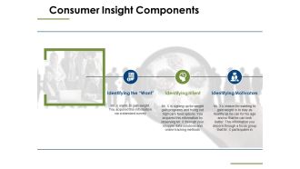Consumer Insight Components Ppt PowerPoint Presentation Show Model