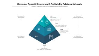 Consumer Pyramid Structure With Profitability Relationship Levels Ppt PowerPoint Presentation Show Graphics