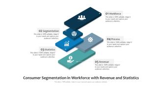 Consumer Segmentation In Workforce With Revenue And Statistics Ppt PowerPoint Presentation Icon Example File PDF