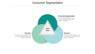 Consumer Segmentation Ppt PowerPoint Presentation Summary Guidelines Cpb