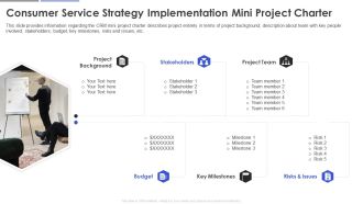 Consumer Service Strategy Implementation Mini Project Charter Infographics PDF