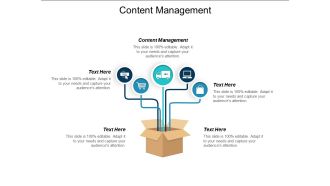 Content Management Ppt PowerPoint Presentation Summary Cpb