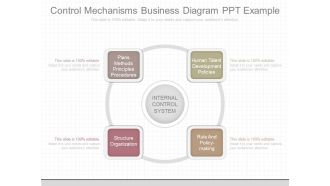 Control Mechanisms Business Diagram Ppt Example