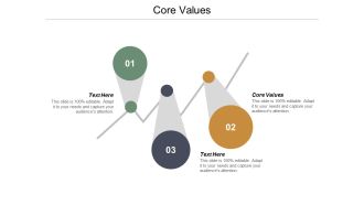 Core Values Ppt PowerPoint Presentation Infographic Template Portfolio Cpb