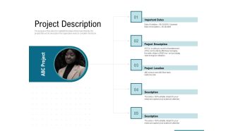 Corporate Execution And Financial Liability Report Project Description Information PDF
