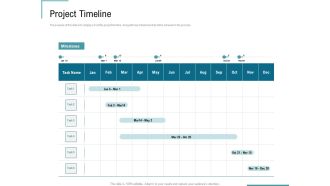 Corporate Execution And Financial Liability Report Project Timeline Pictures PDF